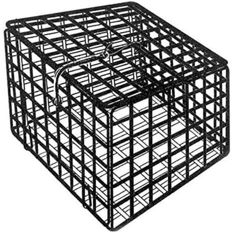 imageEagle Claw10 x 10Inch