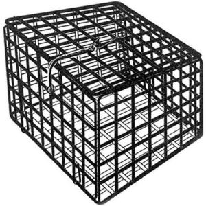 Eagle Claw(10 x 10-Inch)